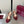 GG Buckle Stiletto Round Toe Heel Height 85mm Burgundy in Monogram 784462