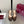 GG Buckle Stiletto Round Toe Heel Height 85mm Dark Brown in Monogram 784460