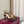 GG Buckle Stiletto Round Toe Heel Height 85mm Dark Brown in Monogram 784460