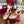 GG Dance Shoes Gold in Nubuck Suede with Classic GG Fabric 788166
