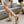 GG Dance Shoes Gold in Nubuck Suede with Classic GG Fabric 788166