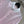 CD 26 Pink Striped Dress in Polyester 385731