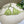 FF Swimsuit Green Polyamide 180511