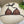 FF Swimsuit Brown Black Polyamide 180512