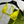 GG 26s Swimsuit Lime Yellow Polyamide 243579