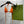 GG 26s Swimsuit Orange Polyamide 243578