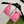GG 26s Swimsuit Pink Polyamide 243577