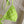 GG 26s Swimsuit Lime Green Polyamide 243571