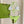 GG 26s Swimsuit Lime Green Polyamide 243571
