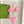 GG 26s Swimsuit Pink Polyamide 243567