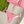 GG 26s Swimsuit Pink Polyamide 243567