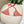 GG Beige Bikini Featuring Red Embroidered with Gold Chain Detail in Polyamide 241844