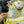 CD 26s Two-Piece Bikini Yellow in Polyamide 241815
