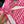 CD 26s Two-Piece Bikini Pink in Polyamide 241813
