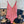 CD Swimsuit Red in Nylon 241781