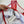 CD Swimsuit Red in Nylon 241781