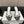 CD 26 Mule Heels 85 White Black in Fabric 803245