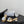 CC 26 Sandal 55mm Camellia Pearl Gold in Cowhide 803190