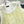 CC 26 Knit Vest Top Pale Yellow in Cotton 387593