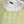 CC 26 Knit Vest Top Pale Yellow in Cotton 387593