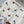 CD Bow Print Midi Skirt White in Cotton 388352
