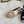 CC 26 Pump with Pearl Heels 65mm Black in Cowhide 808018