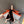 HM Umbrella 3
