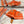 HM Umbrella 5