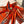 HM Umbrella 5