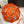 HM Umbrella 5