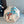 HM Umbrella 10