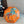 HM Umbrella 10