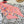CC Twilly Mini Scarf Pink Multicolor Silk 280926
