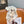 CC Hair Scrunchie 296169