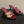 CC 26A Logo Quilted Heeled Sandals 8cm Burgundy Begie Lambskin 834708
