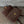 CC Vintage Classic Timeless Backpack 28cm Quilted Lambskin
