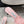 JC 26SS Floral Appliqué Mules 6.5cm Pink Lace 858428
