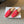 CD Baby Bow Mules Gold Bow Red Suede 858668