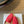 CD Baby Bow Mules Gold Bow Red Suede 858668