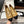 CC 25SS Mary Jane Quilted Camel Black Lambskin Leather 862434