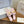 CD Montaigne Slides Buckle Pink Calfskin Leather 862364
