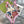 GG Floral & Bird Print Swimsuit and Sarong Set Cream Pink 330761