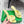BV Knot Mule Sandals 9cm Yellow Lambskin Leather 880933