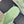 CC Crystal Logo Platform Thong Sandals Lime Green Tweed 887784
