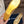 CC Coco Beach 2026 Mesh Mary Jane Gold Cowhide 888708