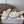 Loew Paula's Ibiza Petal Flower Sandals White Leather 889897