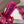 Loew Paula's Ibiza Petal Flower Flat Sandals Pink Leather 889892