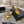 CC 26A Camellia Double C Square Toe Mules 10cm Gold Stone-Grain Cowhide 890672