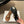 CL 26ss Penny Thong Flat Sandals Goatskin Leather