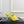 CC Double C Mules 9.5cm Yellow Pink Leather 891681